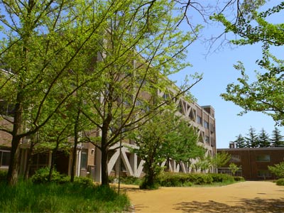 新潟大学人文学部校舎の新緑