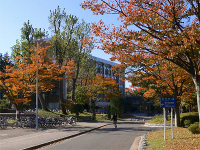新潟大学人文学部校舎の秋景色