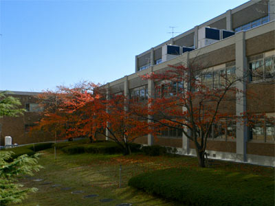新潟大学人文学部校舎中庭