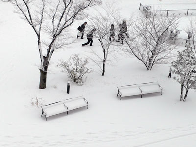 新潟大学キャンパス雪景色20080217