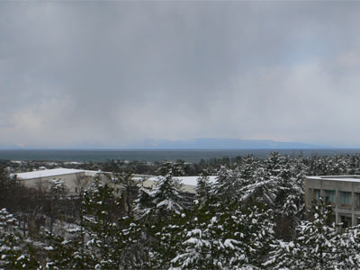 キャンパス雪景色20080218