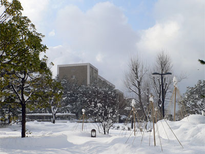 2010年2月5日新潟大学人文学部校舎