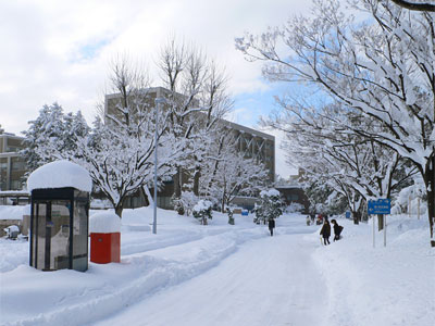 2010年2月5日新潟大学人文学部校舎