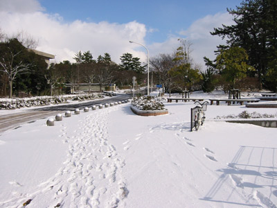 雪20030102