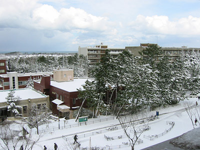 新潟大学農学部20050201
