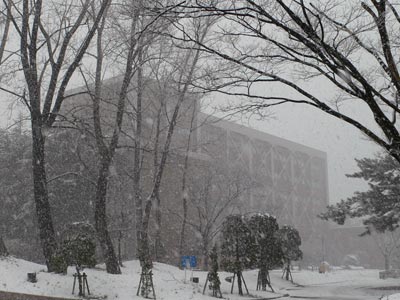 新潟大学人文学部（戻り雪）