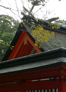 重要文化財の住吉神社本殿