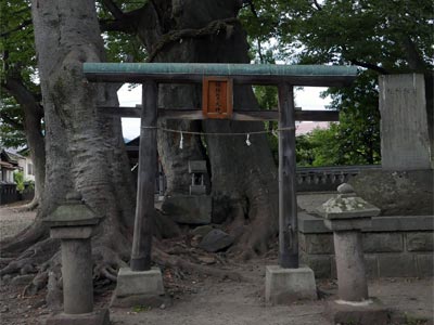 大青麻彦神社の石祠