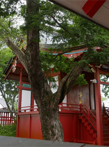 生島足島神社境内の諏訪神社