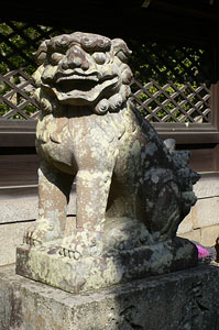 伊居太神社狛犬