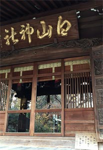 文京区白山神社拝殿正面