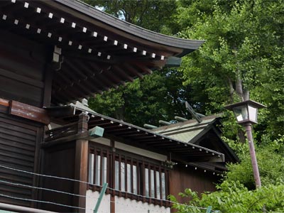 東京都北区西ケ原の七社神社本殿（屋根）