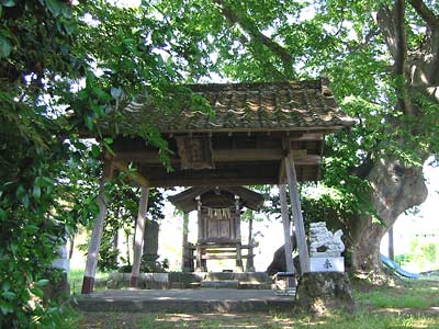 桜井神社本殿正面