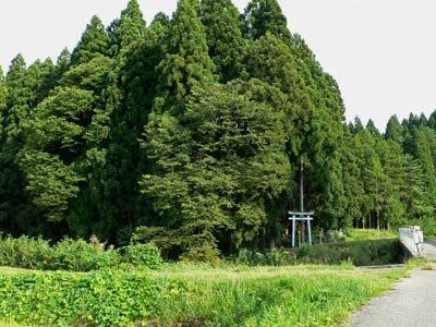 村上市猿田の熊野神社遠景