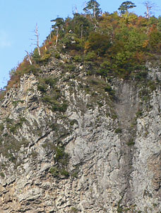 八木鼻の大岩壁