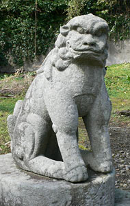 宿根木の白山神社狛犬（左）