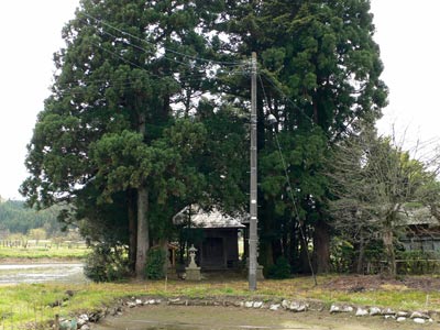 村松町中島の神明神社遠景
