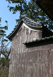 亀塚の市川神社本殿