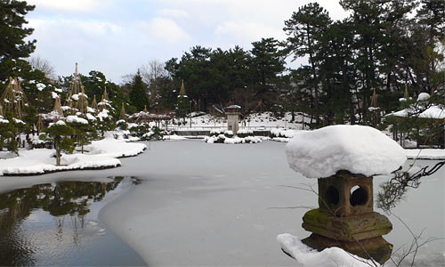 雪景色の蓮池