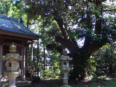 寺泊京ケ入の諏訪神社境内
