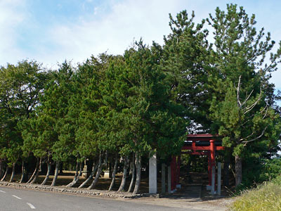 刈羽村新屋敷の諏訪神社社地