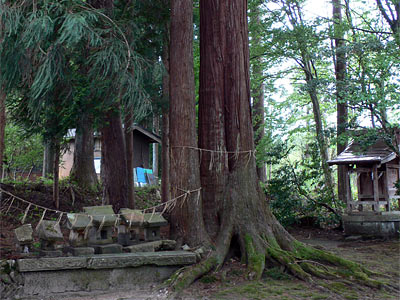 九島の熊野神社境内
