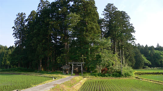 村上市布部の鷲麻神社遠景