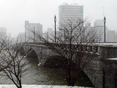 雪の万代橋西詰（2012年）