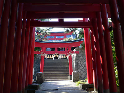 青山御幣稲荷神社参道から拝殿を見る