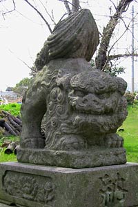 新潟市西区丸山神社の狛犬（吽）