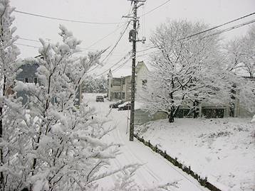 新潟大学周辺の冬の情景
