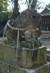 亀都起神社拝殿前の狛犬