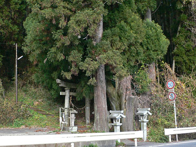 湯布院町の荒木神社参道入り口