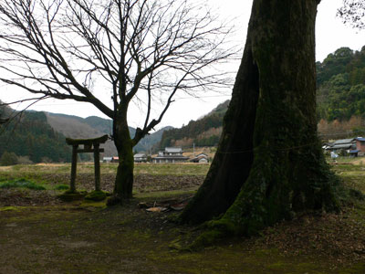 東椎屋の熊野神社境内
