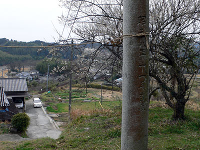 大分市竹中の竹中神社境内からの眺望