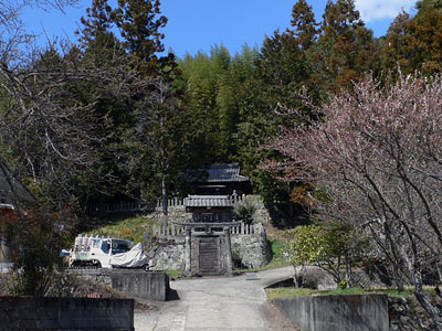 宮苑の日吉神社遠景